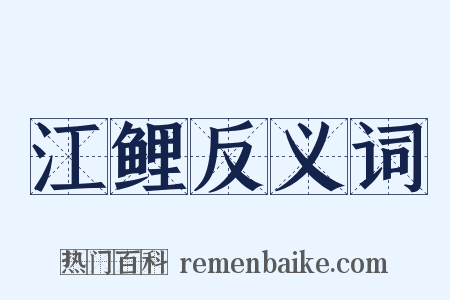 江鲤反义词是什么意思的图片